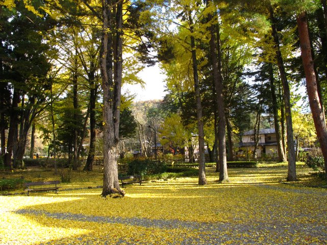 🎨 히라후쿠 기념 미술관 (히라후쿠 키넨 비주츠칸) 이미지 8